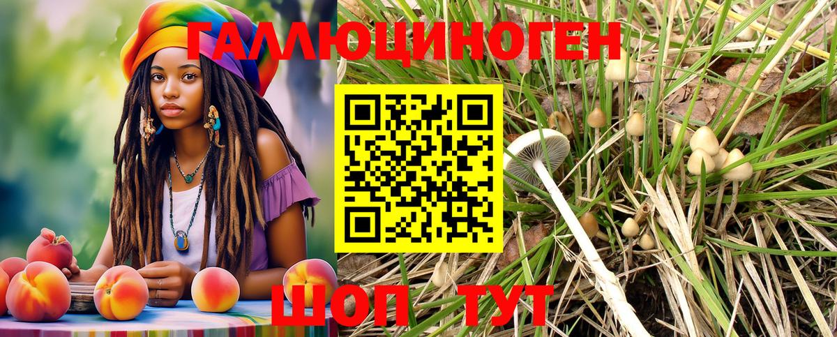 Псилоцибиновые грибы GOLDEN TEACHER Феодосия